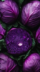 Obraz premium Purple cabbages in a close-up view, showcasing vibrant colors. Fresh produce concept