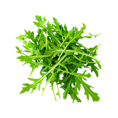 Obraz premium Arugula Lettuce, Isolated On A White Background