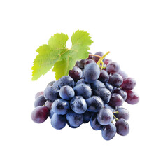 Fototapeta premium Grapes Isolated On A White Background