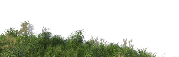Trees, flowers, grass, low bushes rendered with edsmax vray 6