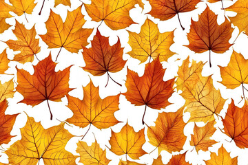 Autumn Leaves yellow and orange Background - transparent cell structure