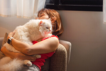 girl and Persian cat