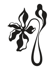 black flower silhouettes winding beautifully