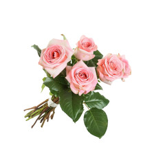 A Bouquet Of Delicate Pink Roses Isolated On A White Background