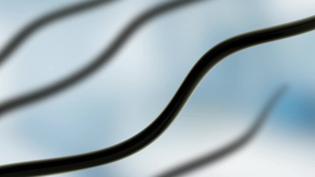 3d  Hair care, Animation Nourish hair action of shampoo or serum. Concept Repair damaged hair.

