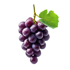 Fototapeta premium Purple grapes with a leaf isolated on white.