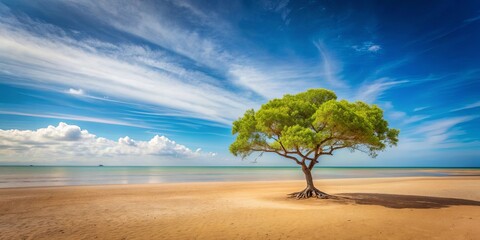 Fototapeta premium Tree standing alone on sandy beach, solitude, nature, peaceful, tranquil, serene, landscape, environment, seaside, shore, sand