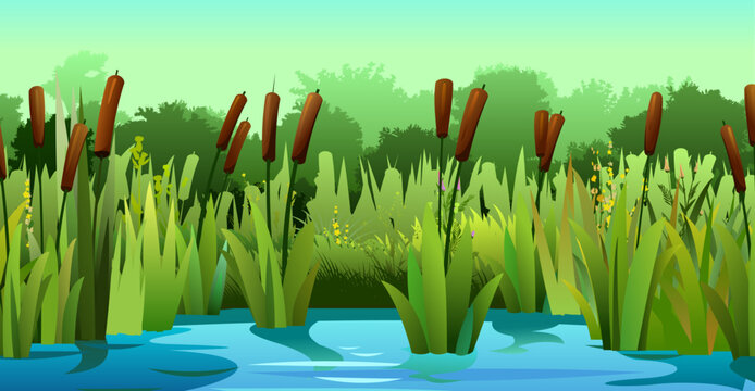 Landscape with reeds. River bank. Coastal plants. Thickets of wild shoots.