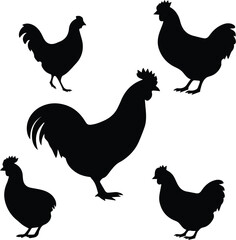 Chicken silhouettes -  Chicken isolated on white background