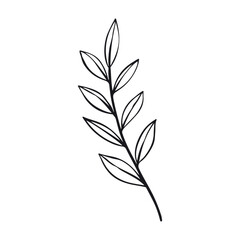 Hand drawn simple flower outline on the white