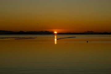 Sunrise over the majestic Pullao Bay on the southern archipelago of Chiloé Island, Chile.