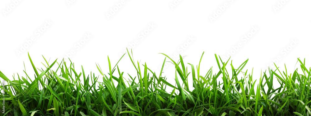 Poster a long green grassy field with no other objects in the background