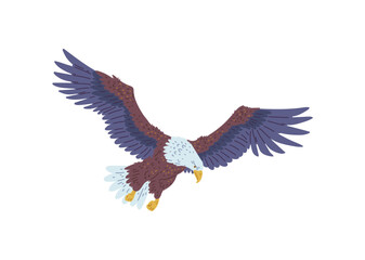 The vector image of a flying bald eagle with wings, beak and tail standing