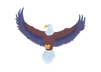 Bald Eagle flying vector icon, American eagle with white tail and head, wild bird of prey soaring, falcon or hawk