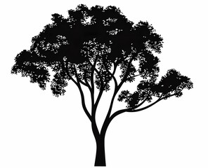 Fototapeta premium Silhouette of a large tree with sprawling branches and lush foliage.