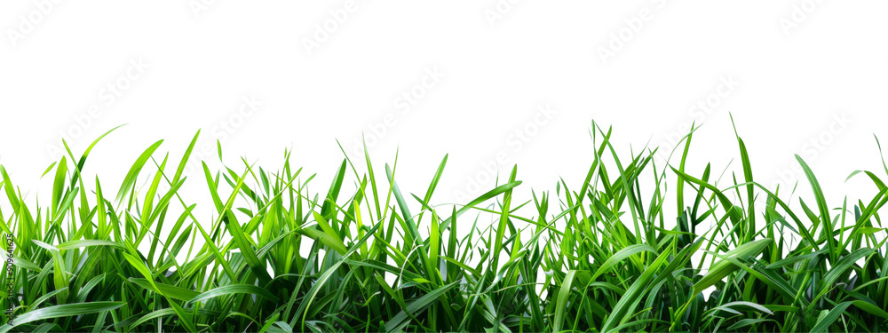 Poster a long green grassy field with no other objects in the background
