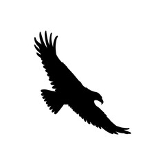 Vector illustration with a black silhouette of a flying eagle with large wings and tail