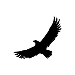 Bald Eagle black silhouette vector icon, American eagle wild bird of prey soaring, falcon or hawk animal flight up