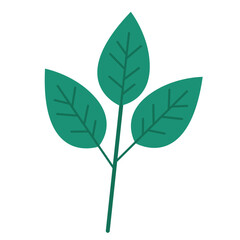 Tropical flower and leaf illustration, Beautiful tropical flower illustration