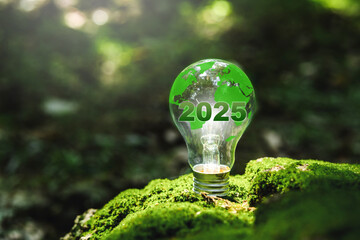 Renewable Energy 2025 Environmental protection achieve business goals environment with light bulb that represents green energy Renewable and clean energy.