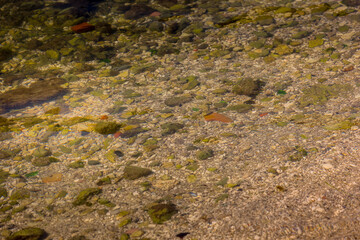 Underwater background in sea