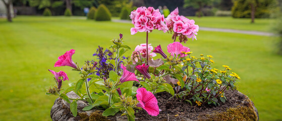 Muckross, Ireland - June 8 2024 