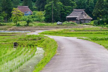 かやぶきの里の道