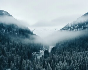 Cold winter misty mountain landscape in the morning