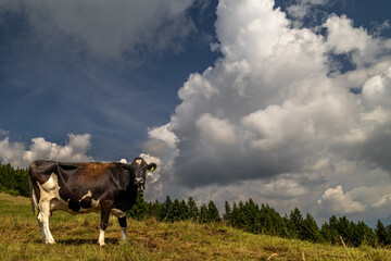 Sparavera mount in Orobie Alps