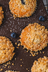 Blueberry muffins and blueberry berries