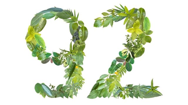 92, the number is formed from the arrangement of fallen leaves, suitable for birthday, anniversary and memorial day templates	
