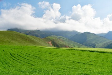 Obraz premium Photo of the mountains and valleys of Qilian Mountains, Qinghai Province, China