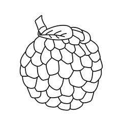 Flat Design Sugar Apple Vector
