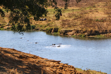 landscape of Africa 