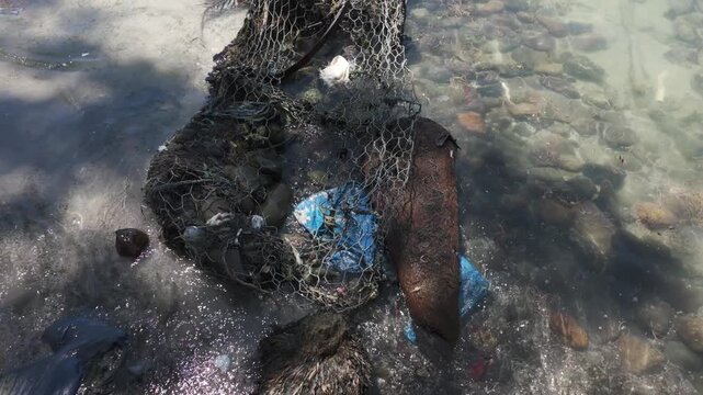 Trash and debris in the ocean near Bastimentos Island, Panama