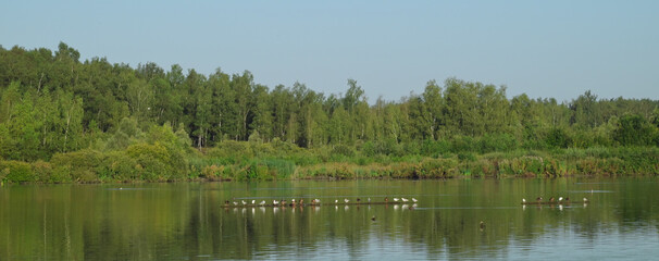 Belgium, Harchies - August 5, 2024 : beautiful view of the Harchies marshes