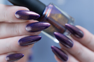 Beautiful woman's hand with long nails and multicolored nail polish, blue and brown 