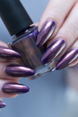 Naklejka premium Beautiful woman's hand with long nails and multicolored nail polish, purple and brown 