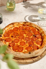 Pepperoni Pizza in Sunlit Summer Scene with Shadows