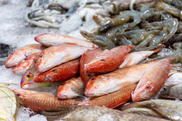 Fresh fish in Waterfront Market in Dubai City, United Arab Emirates.