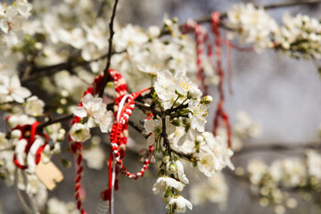 Traditional Martenitsa Bracelets on Blooming Tree Branches