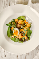 Fresh Salad with Roasted Vegetables and a Boiled Egg in Sunlit Setting