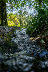 A narrow creek with rocky banks in the shade with a blurry background