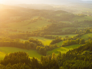 Rolling Green Hills and Forests in Summer Light