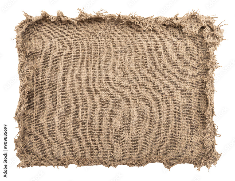 Wall mural burlap texture. a piece of torn burlap on a white background. canvas. packing material