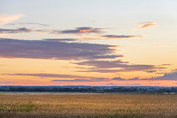 Golden wheat fields glisten under a breathtaking sunset, as soft clouds drift across the sky painting a tranquil evening landscape.