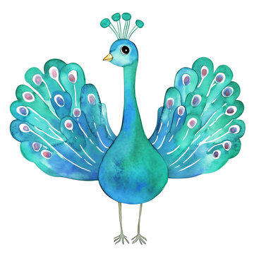 recommend clip art: cute peacock, bird,l Cartoon watercolor Clip Art