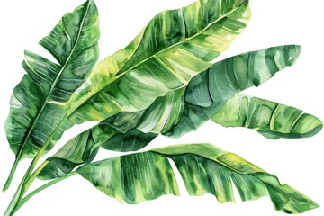 A natural formation of green leaves, ideal for environmental and nature-related themes