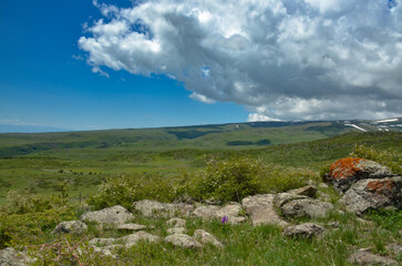 meadows and rocks on the slopes of Mount Aragats (Aragatsotn province, Armenia)