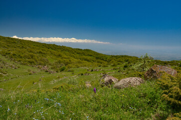 meadows, rocks and alpine vegetation on the slopes of Mount Aragats (Aragatsotn province, Armenia)